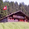 gittaz_face1